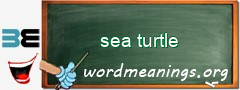 WordMeaning blackboard for sea turtle